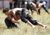 ′오일 바르고 한판 승부′…튀르키예 전통 기름 레슬링 | 연합뉴스