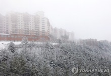 <오투리조트 3천명 초청해 고작 회원권 32개 분양> | 연합뉴스