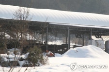  | 연합뉴스