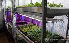  미래 첨단농장 식물공장 | 연합뉴스