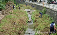 <김해 담안마을 주민들의 도랑살리기 기적> | 연합뉴스