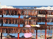 <주말 N 여행> 영남권: 쫀득, 고소 겨울 별미 과메기 왔다…구룡포 축제 | 연합뉴스