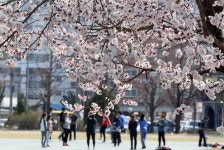 한국 대학등록금 OECD 4위…공교육비 민간부담 1위 | 연합뉴스
