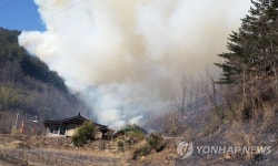 삼척서 산불…헬기 6대 투입 진화 중 | 연합뉴스