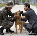 군견에서 반려견으로…반가워 | 연합뉴스