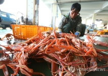 구룡포 대게 금값 | 연합뉴스