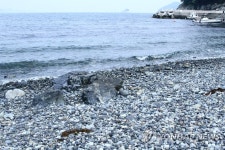 욕지도 통단해변 | 연합뉴스