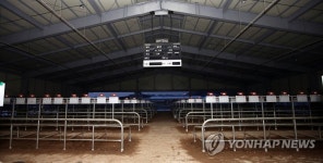 구제역 여파로 썰렁한 우(牛)시장 | 연합뉴스