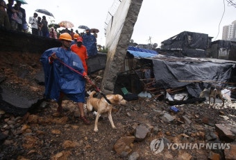 印 뭄바이서 폭우로 옹벽 붕괴…최소 15명 사망 | 연합뉴스