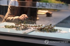 노을섬 소리풍경 | 연합뉴스