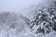 강릉 왕산 20.5㎝ 폭설…강원도 '비상 1단계' | 연합뉴스