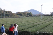 서광(발란스 추) - 기업정보 | 투자, 매출, 기업가치 - THE VC