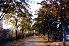 Holga 135 BC by spiti84 on DeviantArt Holga 135 BC