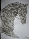L4 (7) by Coffee58 on DeviantArt L4 (7)