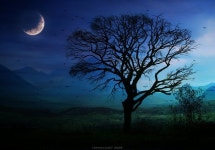 surrealistic-glooms Journal | DeviantArt surrealistic-gloom on DeviantArt