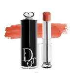 디올 DIOR 어딕트 립스틱 524 - Diorette | DIOR : 메이크업 : OR7522202103 - 필웨이 / 정품감정