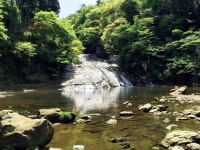 絶景×温泉×森林浴！日帰りOK！極上の癒やし露天風呂に注目！【関東近郊】 ｜じゃらんニュース