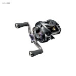 [해외] 낚시 다이와(DAIWA)스티즈(STEEZ) SV TW 1012SV-XHL