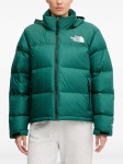 26 SS 더 노스페이스 지퍼 로고 프린트 후드 재킷 NF0A8DZX TP449259808 | THE NORTH FACE : 다운/패딩 : EN7850085503 - 필웨이... 