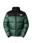 25 FW 더 노스페이스 후드 패딩 재킷 NF0A3C8D TP450816953 | THE NORTH FACE : 다운/패딩 : EN8039741077 - 필웨이 | 믿을 수 있는... 