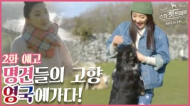 [2회 예고] 스타 펫 트래블 바다 in 영국, 6월 19일 (금) 밤 9시 - kakaoTV [2회 예고] 스타 펫 트래블 바다 in 영국, 6월 19일 (금) 밤 9시