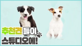 [8회 예고] 펫 닥터스 시즌2, 5월 20일 (수) 밤 11시 - kakaoTV [8회 예고] 펫 닥터스 시즌2, 5월 20일 (수) 밤 11시