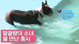 말괄량이 소녀 물 만난 홍시! [여자친구! 강아지를 부탁해] 10회 - kakaoTV 말괄량이 소녀 물 만난 홍시! [여자친구! 강아지를 부탁해] 10회