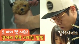 강아지 목욕 시키는 방법 [오 마이 펫 시즌2] 12회 - kakaoTV 강아지 목욕 시키는 방법 [오 마이 펫 시즌2] 12회