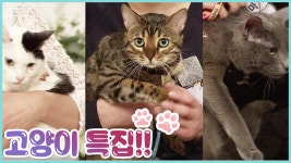 [7회 예고] 펫 닥터스 시즌2, 5월 13일 (수) 밤 11시 - kakaoTV [7회 예고] 펫 닥터스 시즌2, 5월 13일 (수) 밤 11시