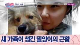 구조와 치료, 입양의 기적! 새 가족이 생긴 밀양이 [생명전선 15일의 기적] 10회 - kakaoTV 구조와 치료, 입양의 기적! 새 가족이 생긴 밀양이... 