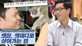 캣맘, 캣대디로 사는 법 [마이펫연구소] 4회 - kakaoTV 캣맘, 캣대디로 사는 법 [마이펫연구소] 4회