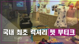 국내 최초 럭셔리 펫 부티크 [디자인스 투어 시즌2] 8회 - kakaoTV 국내 최초 럭셔리 펫 부티크 [디자인스 투어 시즌2] 8회