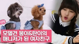 여자친구, 몽이와 탄이의 매니저가 되다! [여자친구! 강아지를 부탁해] 2회 - kakaoTV 여자친구, 몽이와 탄이의 매니저가 되다! [여자친구!... 