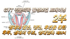 [GVT발성보컬강좌] #2부 - 성대의 옆면, 정면, 후면을 통한 후두, 성대의 구조, 성대접촉 테크닉 - kakaoTV [GVT발성보컬강좌] #2부 - 성대의 옆면... 