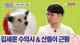 견벤저스, 김세훈 수의사 & 입양을 기다리는 산들이 [생명전선 15일의 기적] 10회 - kakaoTV 견벤저스, 김세훈 수의사 & 입양을 기다리는... 