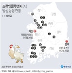 예산 육용종계 농장서 고병원성 AI 확진…국내 농장 28번째 | 연합뉴스