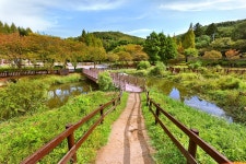 [걷고 싶은 길] 시민 곁에 가까이…율동공원 수변로 | 연합뉴스