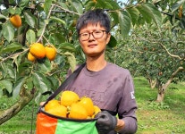 스마트파머(액셀러레이팅) - 기업정보 | 투자, 매출, 펀드 - THE VC