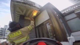 말벌집 좀 제거해주세요…119 구조활동 최다 | 연합뉴스