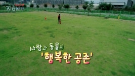 [트렌드 지금 여기] 사람과 동물의 행복한 공존 | 연합뉴스