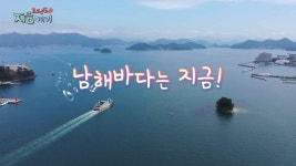 [트렌드 지금 여기] 남해바다는 지금! | 연합뉴스