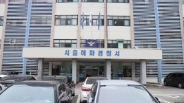 고양이로 불법 동물실험 서울대병원 교수 검찰 송치 | 연합뉴스