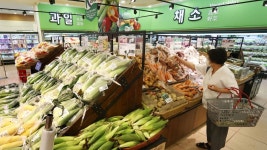 몸값 오른 농산물…대형 마트서 낱개 판매 시작 | 연합뉴스