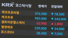 100만 원 무너진 황제주…2차 전지주 동반 급락 | 연합뉴스