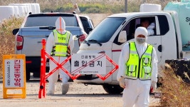 경남도 뚫렸다…소 럼피스킨병 창원서도 발병 | 연합뉴스
