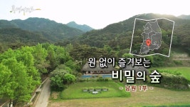 [풍경여지도] 원 없이 즐겨보는 비밀의 숲 - 전북 남원 1부 | 연합뉴스