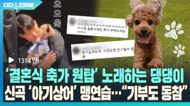 [다다를 이야기] 결혼식 축가 댕댕이 커피…신곡 아기상어 맹연습…기부도 동참 | 연합뉴스