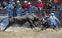 ′스릴만점′…미국 교도소에서 열린 로데오 경기 | 연합뉴스