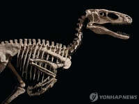 쥬라기공원 랩터 모델인 데이노니쿠스 화석 160억원에 낙찰 | 연합뉴스