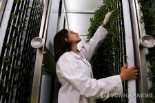 급변하는 날씨 속 식량을 지켜라…기후변화 적응 농장 | 연합뉴스